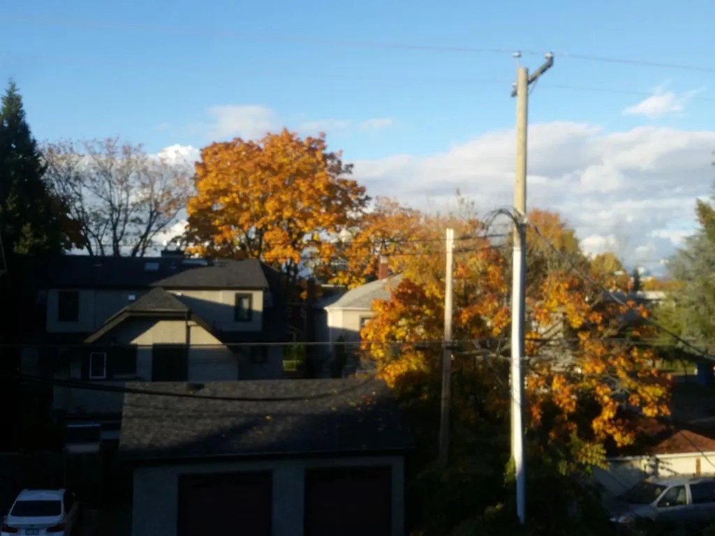 Отель Kitsilano Heritage Ванкувер 0*,  Канада